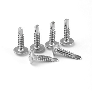 Vis autotaraudeuses à tête cylindrique en acier inoxydable 304, M4.2 M4.8, tête Phillips, pour tôles ondulées en métal - Product Image 2