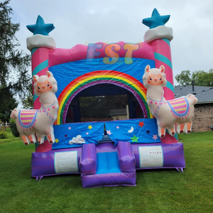Maison de saut commerciale videur gonflable maison de rebond de canard jaune grands châteaux sautants à vendre <span class=keywords><strong>location</strong></span> de fête de <span class=keywords><strong>luxe</strong></span> - Product Image 2