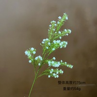 Plante Artificielle Gypsophile à 3 Branches avec Fruits, Fleur Étoilée pour Mariage et Décoration Intérieure, Accessoire Photo