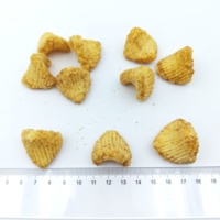Chips de riz frites au caramel au sel marin, tendance, sucrées et salées, à texture croustillante, pour marque privée OEM