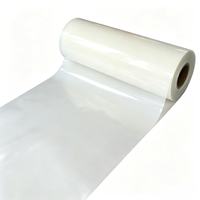 Lámina de Película PET Mylar para Transformadores, Precio de Fábrica, 6020 Transparente, Película de Aislamiento para Motores, 6021 Blanco Lechoso, Película de Poliéster PET