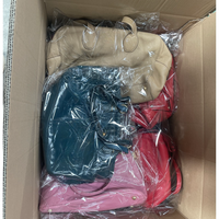 Lot Mixte Prix de Gros Sacs à Main d'Occasion pour Femmes Sacs Usagés Sacs Ukay Sacs Premium pour Dames