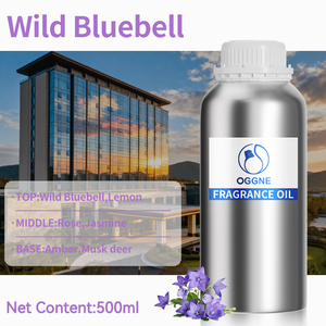 <span class=keywords><strong>Set</strong></span> Regalo di Oli Profumati 100% Puri, Fragranza Fruttata <span class=keywords><strong>per</strong></span> Creazione di <span class=keywords><strong>Profumi</strong></span> di Lusso, Olio Profumato di Marca - Product Image 3