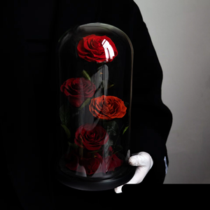 Beauty Beast LED Eternal <span class=keywords><strong>Rose</strong></span> Glass Dome Roses conservées Graduation Noël Saint Valentin Fête des mères Fabriquées à <span class=keywords><strong>la</strong></span> main Usine - Product Image 4