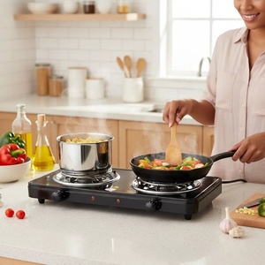 <span class=keywords><strong>Plaque</strong></span> Chauffante Professionnelle à Double Brûleur Électrique, 2000W, Bobine Double, en Tôle Galvanisée, Idéale pour la Cuisine Domestique - Product Image 6