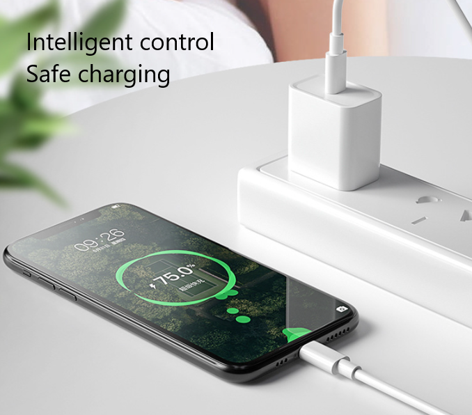 câble PD blanc 20W c vers ios