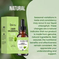 Vente en gros OEM Marque privée 59 ml Gouttes liquides d'extrait de chlorophylle de menthe Splina naturel végétalien original pour la détoxification et le nettoyage