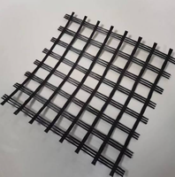 Géogrille biaxiale 100 kN en PET pour travaux de terrassement, filet en plastique renforcé pour allées, géogrille en polyester