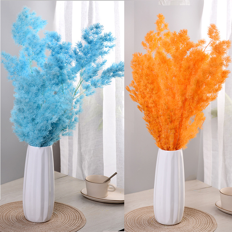Real Natural Preserved Fern Leaf Asparagus Myrioculadus Cypress Flower Penglai Song Flower Arrangement