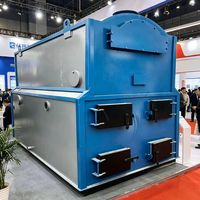 Caldera de Agua Caliente de Biomasa Horizontal Automática, Calentador de Agua Industrial para Hoteles, Alimentado con Carbón y Leña