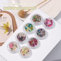 Logo personnalisé 8 couleurs fleurs de printemps conceptions d'ongles huile pour ongles fleur sèche fleurs séchées mini ongles