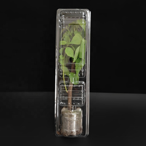 Pots de fleurs en plastique PET recyclé Semis de fleurs Plantes vivantes Bonsaï Transport Boîte de protection - Product Image 3