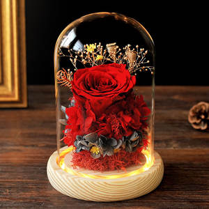 Rose Vere Conservate per Sempre in Cupola di Vetro, Lunga Durata 3-5 Anni, Decorazione da Interni, Miglior Regalo per Mamma, Moglie, Fidanzata, <span class=keywords><strong>Migliore</strong></span> Amica, Nonna - Product Image 1
