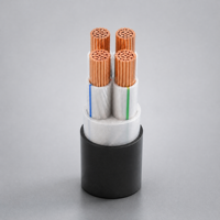 Cable de Energía Subterráneo Blindado con Armadura SWA de Cobre XLPE de Bajo Voltaje