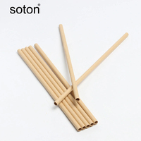 Pailles à boire jetables biodégradables en papier kraft pour les fêtes Bars Cuisine Noël Vacances chinoises Voyage Camping
