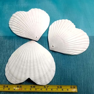 Coquilles Saint-Jacques Naturelles Blanches en Forme de Cœur, Coquilles Marines Brutes pour Artisanat DIY, Décoration de Mariage à la <span class=keywords><strong>Plage</strong></span> et Fêtes - Product Image 5