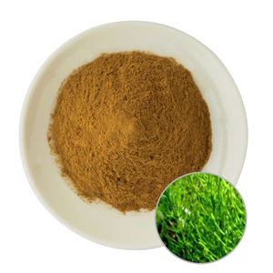 En iyi fiyat Equisetum Arvense özü atkuyruğu özü at kuyruğu özü 10:1 - Product Image 1