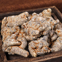 Raíz de Panax Notoginseng / Sanchi (San Qi) de Yunnan, Radix Pseudoginseng Entero Recién Cosechado, Venta al por Mayor de Raíz de Pseudoginseng para Té