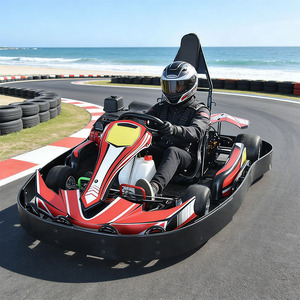 Karting à essence <span class=keywords><strong>270cc</strong></span> à <span class=keywords><strong>prix</strong></span> avantageux, voiture de course à essence, karts à essence pour adultes, karts à essence - Product Image 1