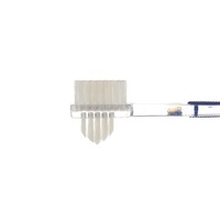 Brosse de nettoyage dentaire de prothèse dentaire de soins buccaux de corail