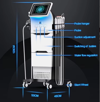 Appareil de soin du visage multifonctionnel Hydro Beauty Aqua Peel, machine de blanchiment de la peau, hydratation, hydrodermabrasion