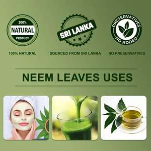 Hojas de Neem Secas al Sol, Antisépticas y Desintoxicantes, Cultivadas Naturalmente en Sri Lanka, de Alta Calidad - Product Image 2