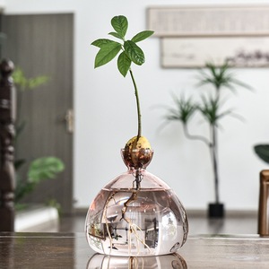 <span class=keywords><strong>Vase</strong></span> en verre hydroponique en forme d'<span class=keywords><strong>avocat</strong></span> japonais <span class=keywords><strong>Vase</strong></span> de plantation spécial pour graines Noyau de fruits Conteneur hydroponique <span class=keywords><strong>Vase</strong></span> coloré - Product Image 3