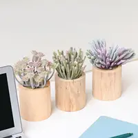 Mini vasi di alta qualità Cactus succulente fiore in vaso di legno piante grasse artificiali per la decorazione della scrivania