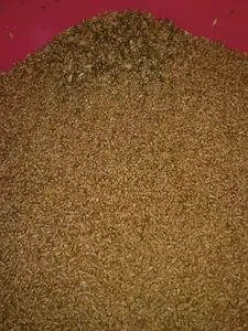 Wenyao optik mısır tohumu greyder buğday tohumu renk sıralayıcı ayırıcı sıralama makinesi otomatik sıralama tohumları