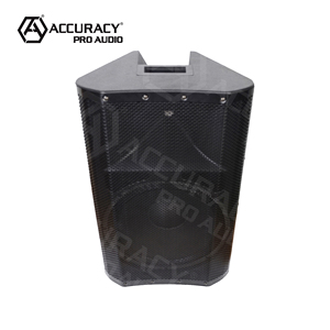 Accuracy Pro AudioCAN10AOH 100W fiesta <span class=keywords><strong>DJ</strong></span> karaoke amplificador digital profesión altavoz de potencia activa sistema de audio caja de sonido de CH - Product Image 4