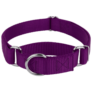 Kingtale-Collar de perro martingala de nailon personalizado OEM para mascotas - Product Image 4