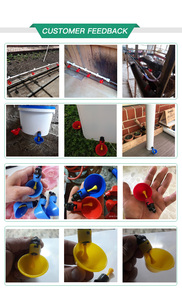 Gia Cầm Chim Hen Chim Cút Nước Chim Gà Núm Vú Uống Cốc Uống Nước Tự Động Bát Gà - Product Image 2