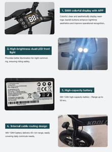 Bicicleta Eléctrica Plegable KOOLUX X10 Mini Ebike EU para Adultos, Motor de 250W de Potencia Máxima, 15.6 MPH, Bicicleta Urbana Eléctrica de 16 Pulgadas - Product Image 6