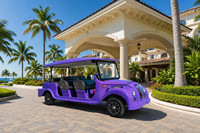 Autobús Turístico Eléctrico Vintage de 11 Plazas, Elegante y Silencioso, Transporte Exclusivo de Patrimonio para Zonas de Playa de Lujo