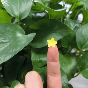 Oem dễ thương hình dạng ngôi sao Hydrocolloid mụn mụn vá nhược điểm điều trị 24 dots - Product Image 5