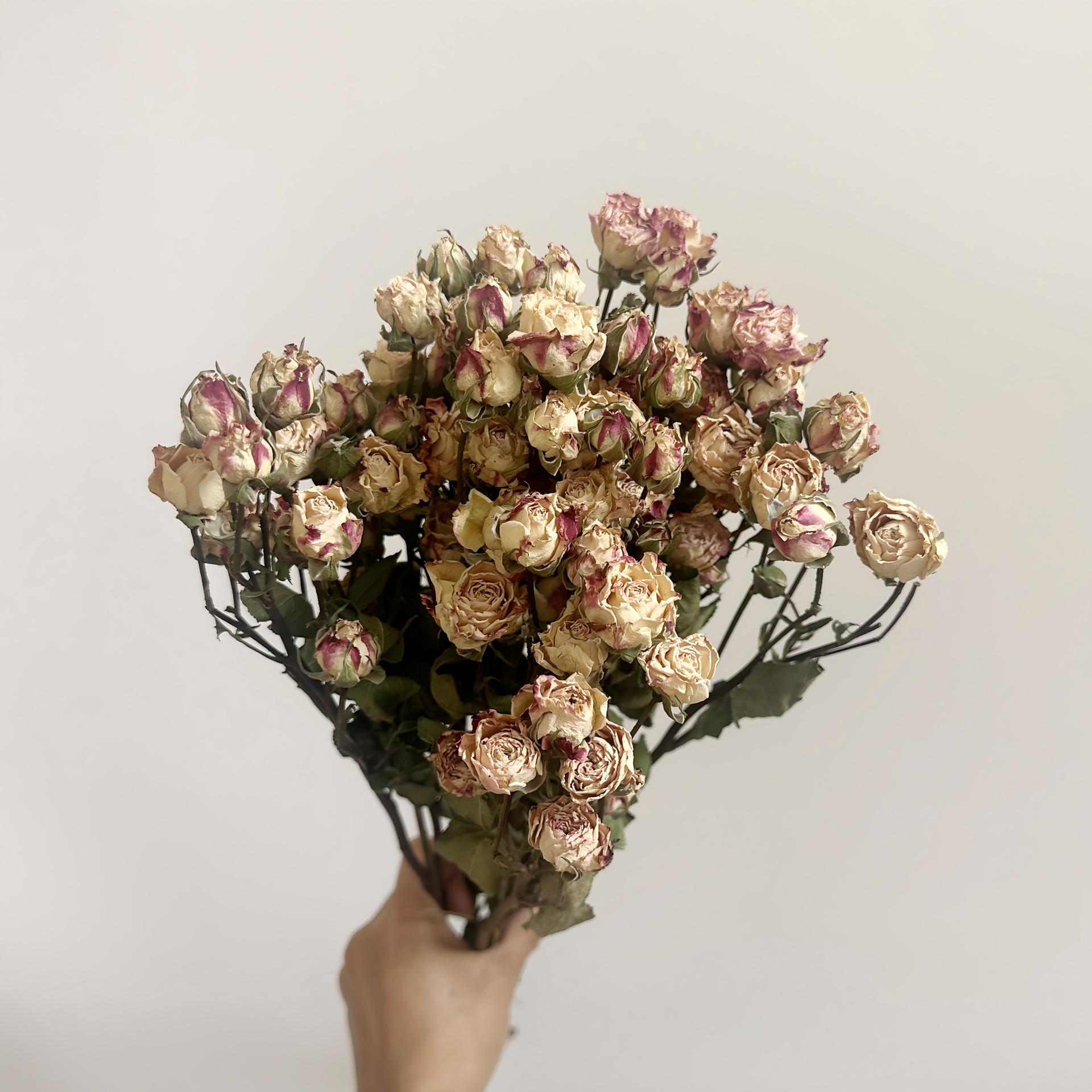 Rose et blanc