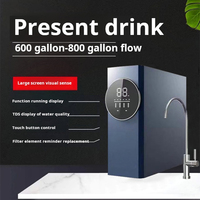 Système de filtration par osmose inverse RO domestique compact sous évier sans réservoir purificateur d'eau électrique inverse osmose avec filtre