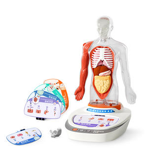 Modelo 3D de anatomía humana con preguntas y respuestas de voz para niños, juguete educativo, kit de aprendizaje con órganos desmontables - Product Image 2