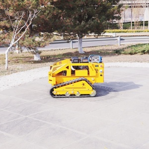 <span class=keywords><strong>Mejor</strong></span> Cortadora de Césped con <span class=keywords><strong>Control</strong></span> Remoto de 2026, Cortadora de Césped con Volante de Dirección Cero y <span class=keywords><strong>Pala</strong></span> Quitanieves con Certificación CE - Product Image 2