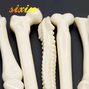 Nouveauté Forme Boule pour Souvenirs Promotionnel Bone Pen - Product Image 4