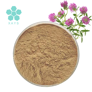 थोक प्राकृतिक पूरक संयंत्र ट्राइफोलियम प्रवण लाल क्लोवर अर्क पाउडर - Product Image 2