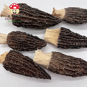 Morilles séchées en usine, Morchella Esculenta séchée, Morilles séchées, <span class=keywords><strong>Prix</strong></span> du marché des morilles - Product Image 3