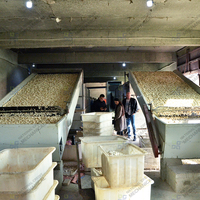 Industriële groente- en fruitdroger, cassave drooglijn, cassave chips droogmachine