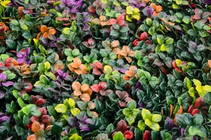 Panneau mural en plastique de haute qualité pour gazon vert, plante artificielle, panneaux de bohémien, plante pour décoration extérieure, 12 pièces - Product Image 6