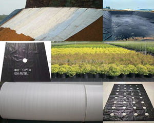 L'erba a prova di erba impedisce l'erba protegge il suolo permettendo alle piante di crescere in modo sano - Product Image 6