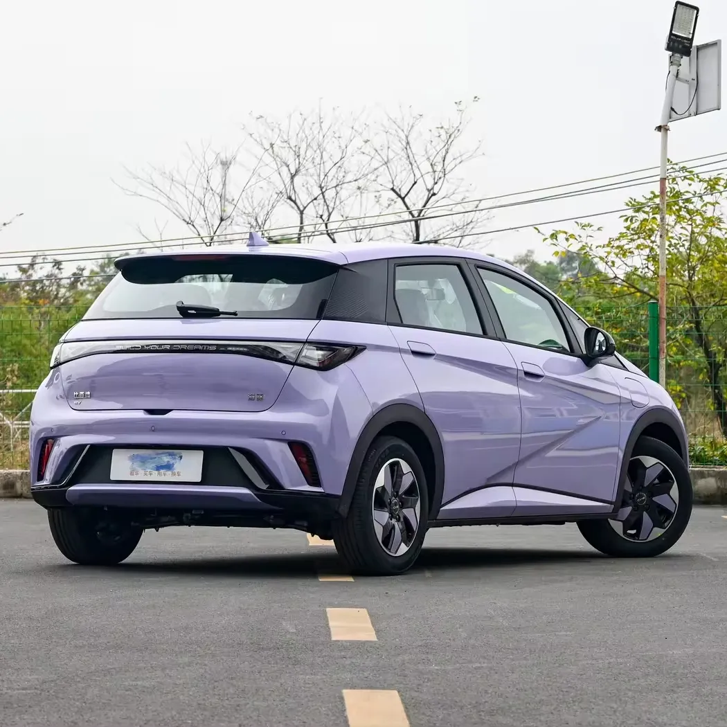rokay BYD Seagull Taro Mud Purple Used Cars New Energy Vehicle From China Second Hand Cheap Prices High Speed