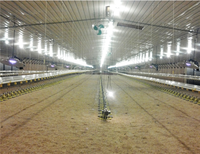 5000 à 100000 oiseaux Poulailler préfabriqué à structure en acier par panneau sandwich à bas prix