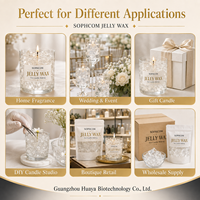 Cire en gel en vrac pour la fabrication de bougies, blocs de cire gel transparente brillante pour bougies Océan, bougies Fleurs et lignes de créations artisanales