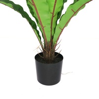Nouveau produit 70cm de haut nid d'oiseau artificiel arbre de fougère pour la décoration de salon