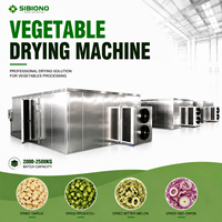 2000-2500 kg Grote Commerciële Batch Dehydrator voor Groenten en Fruit, en Droger voor Groene Bonen, Meloenen en Knoflook